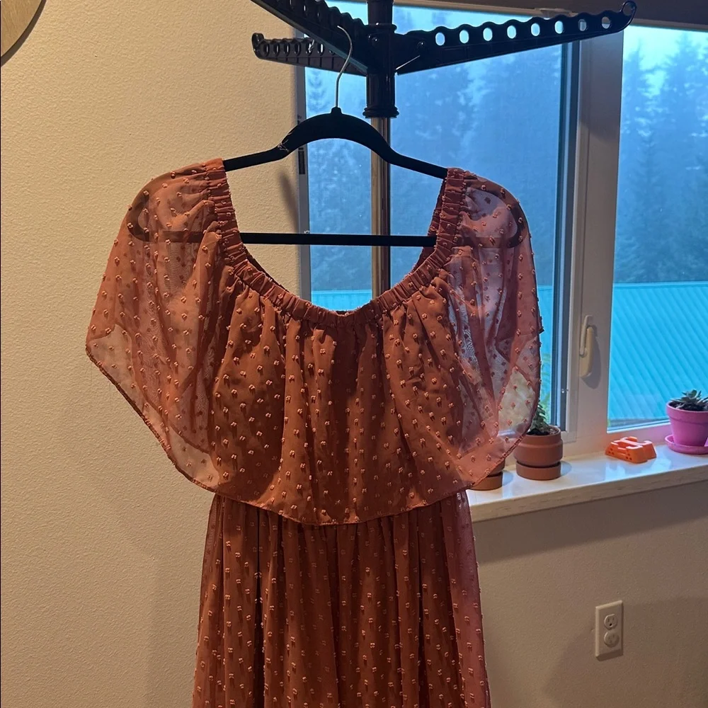 Salmon Pink Baltic Born Maxi Dress - Picture 2 of 3
